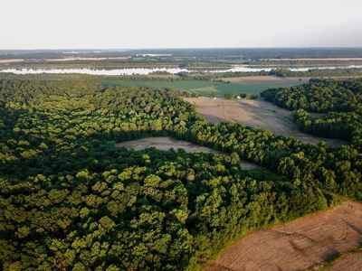 Spencer County Indiana Farm For Sale, Tillable & Pastures - image 12