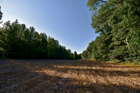 Spencer County Indiana Farm For Sale, Tillable & Pastures - image 30