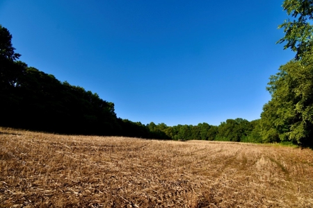 Spencer County Indiana Farm For Sale, Tillable & Pastures - image 32