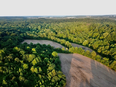 Spencer County Indiana Farm For Sale, Tillable & Pastures - image 10