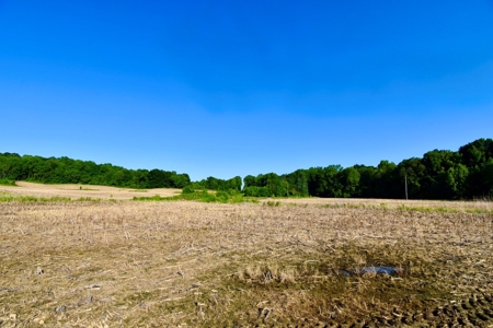 Spencer County Indiana Farm For Sale, Tillable & Pastures - image 20