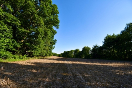 Spencer County Indiana Farm For Sale, Tillable & Pastures - image 31