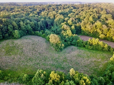 Spencer County Indiana Farm For Sale, Tillable & Pastures - image 3