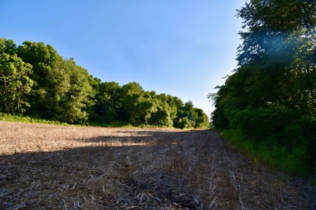 Spencer County Indiana Farm For Sale, Tillable & Pastures - image 27
