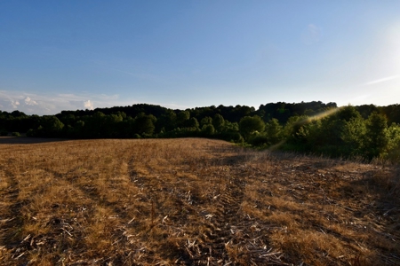 Spencer County Indiana Farm For Sale, Tillable & Pastures - image 38