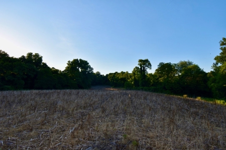 Spencer County Indiana Farm For Sale, Tillable & Pastures - image 40