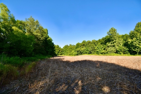 Spencer County Indiana Farm For Sale, Tillable & Pastures - image 28