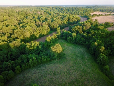 Spencer County Indiana Farm For Sale, Tillable & Pastures - image 4