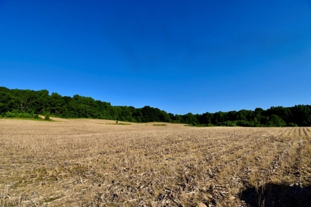 Spencer County Indiana Farm For Sale, Tillable & Pastures - image 25