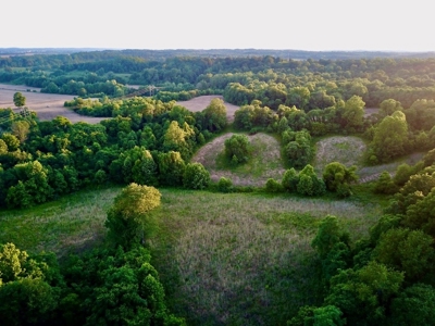 Spencer County Indiana Farm For Sale, Tillable & Pastures - image 7
