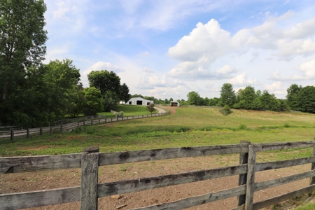 Horse Farm Equestrian Property Delaware County Land For Sale - image 14