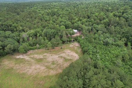 Rare Hunting Tract for Sale in Forrest County, MS - image 35