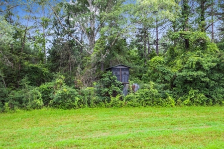 Rare Hunting Tract for Sale in Forrest County, MS - image 27