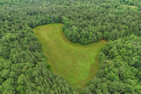 Rare Hunting Tract for Sale in Forrest County, MS - image 1