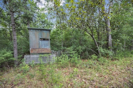 Rare Hunting Tract for Sale in Forrest County, MS - image 24