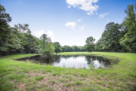 Rare Hunting Tract for Sale in Forrest County, MS - image 22