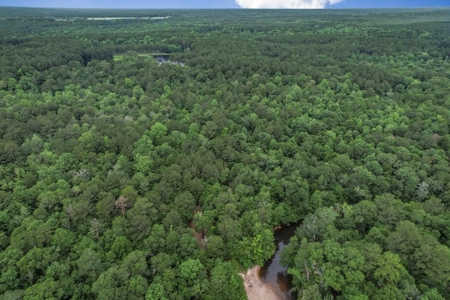 Rare Hunting Tract for Sale in Forrest County, MS - image 36