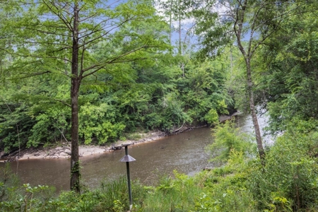 Rare Hunting Tract for Sale in Forrest County, MS - image 31