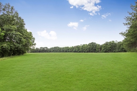 Rare Hunting Tract for Sale in Forrest County, MS - image 25