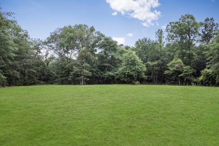 Rare Hunting Tract for Sale in Forrest County, MS - image 30