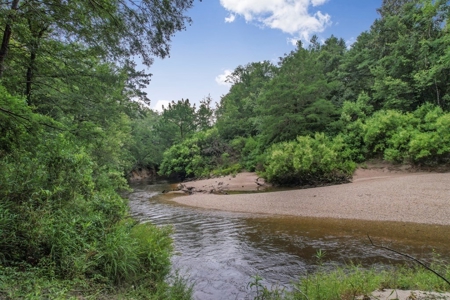 Rare Hunting Tract for Sale in Forrest County, MS - image 37