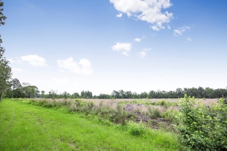 Rare Hunting Tract for Sale in Forrest County, MS - image 26