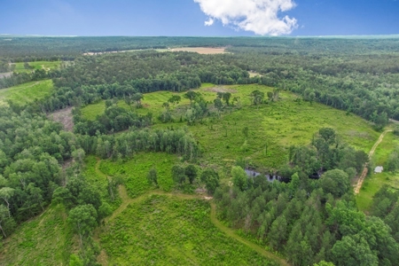 Rare Hunting Tract for Sale in Forrest County, MS - image 44