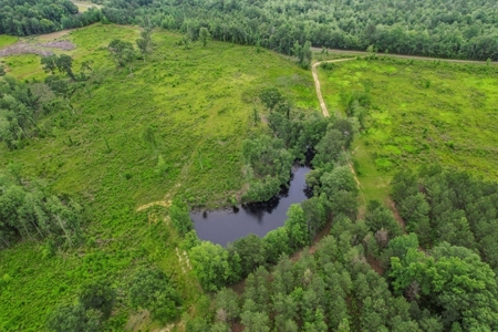 Rare Hunting Tract for Sale in Forrest County, MS - image 46
