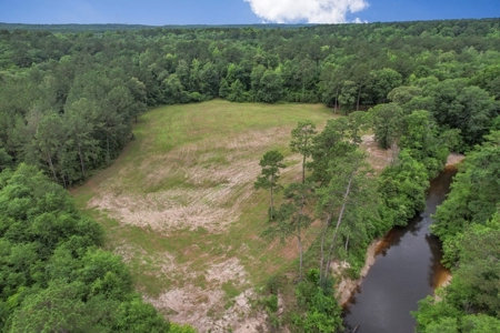 Rare Hunting Tract for Sale in Forrest County, MS - image 33