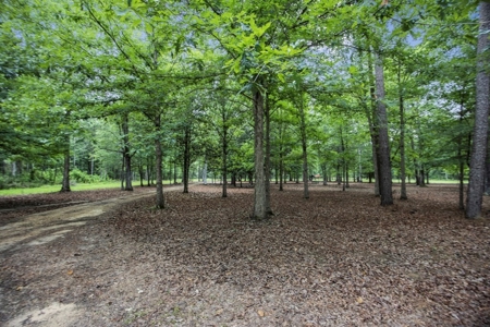 Rare Hunting Tract for Sale in Forrest County, MS - image 32