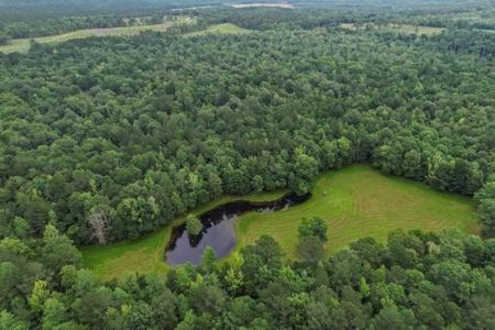 Rare Hunting Tract for Sale in Forrest County, MS - image 42