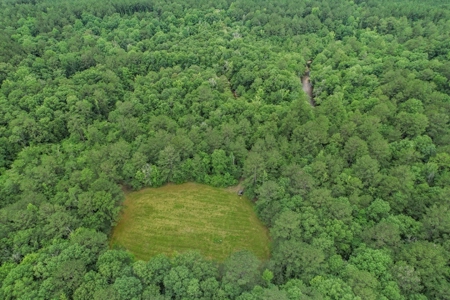 Rare Hunting Tract for Sale in Forrest County, MS - image 41