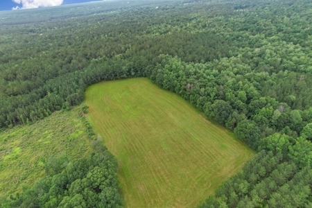 Rare Hunting Tract for Sale in Forrest County, MS - image 43