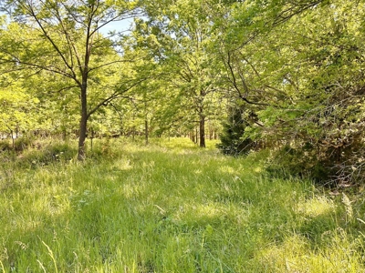 Riverfront Property & Spacious, Brick Country Home for Sale - image 44