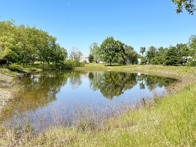 Riverfront Property & Spacious, Brick Country Home for Sale - image 42