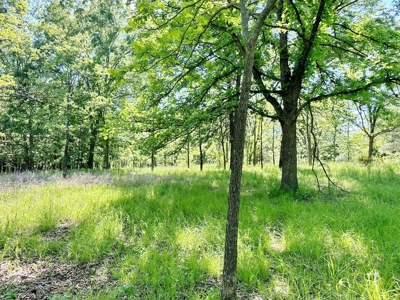 Riverfront Property & Spacious, Brick Country Home for Sale - image 45