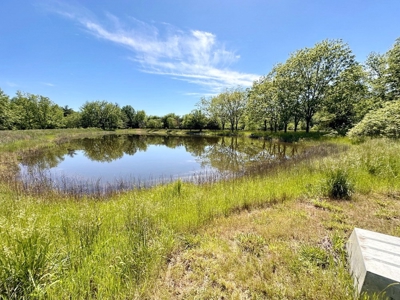 Riverfront Property & Spacious, Brick Country Home for Sale - image 41