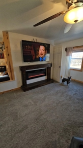 Country Home For Sale - image 7