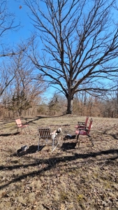 Country Home For Sale - image 34