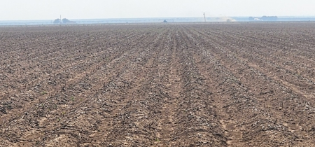 Texas Farm Land For Sale in Wall, Texas - image 1