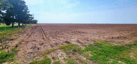 Texas Farm Land For Sale in Wall, Texas - image 3