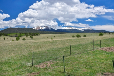 Home for Sale near Divide Colorado - image 2