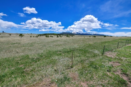 Home for Sale near Divide Colorado - image 7