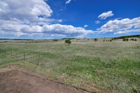 Home for Sale near Divide Colorado - image 8