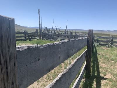 702 Acres Board Corral Ranch, Long Valley, Nevada - image 1