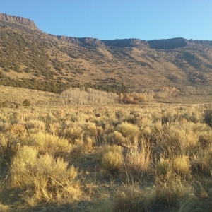 702 Acres Board Corral Ranch, Long Valley, Nevada - image 6