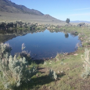 702 Acres Board Corral Ranch, Long Valley, Nevada - image 10