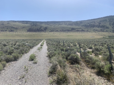 702 Acres Board Corral Ranch, Long Valley, Nevada - image 5