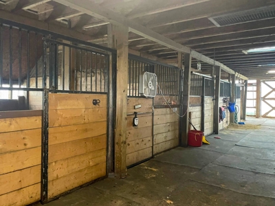 Maine Horse Farm - image 12