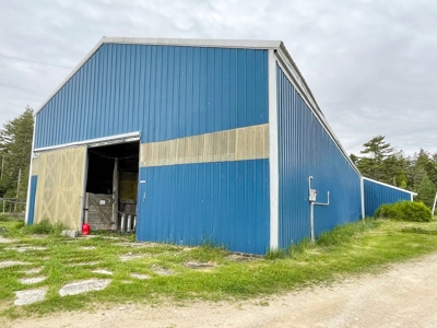 Maine Horse Farm - image 7